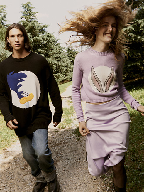 7 LOONEY TUNES BOX DESKTOP Maxandco